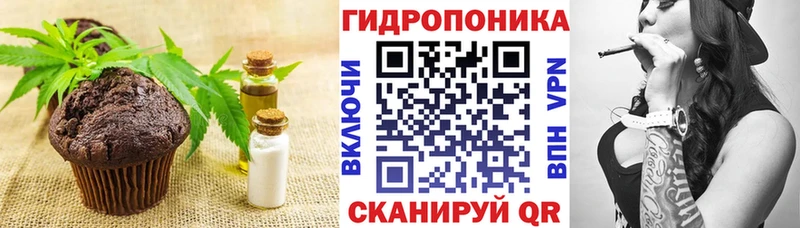 Cannafood конопля  купить наркотики цена  Георгиевск 