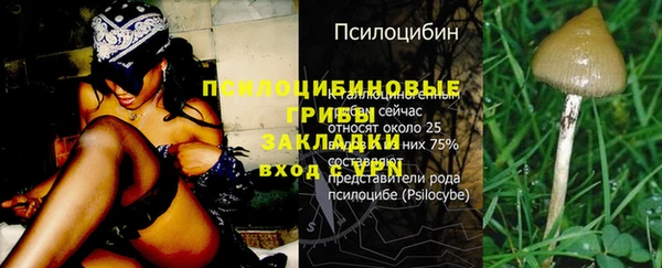 дмт Горнозаводск