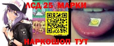 индика Кандалакша
