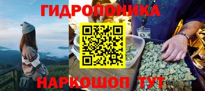 ALPHA-PVP Камышлов
