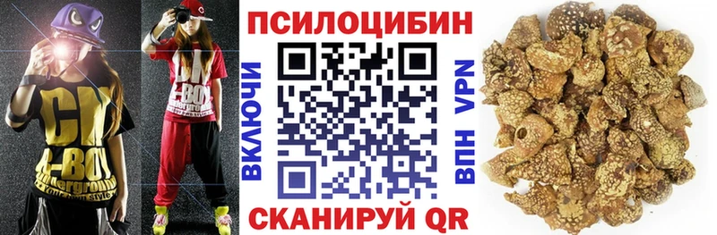 Галлюциногенные грибы мицелий  Георгиевск 