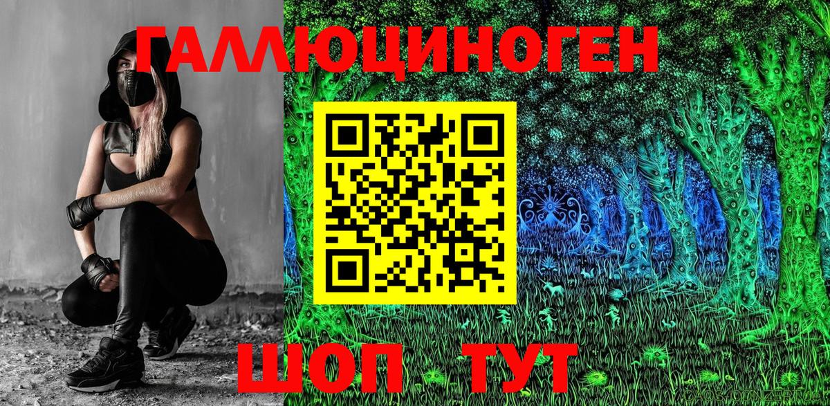 Георгиевск  Псилоцибиновые грибы MAGIC MUSHROOMS  Вход с VPN 